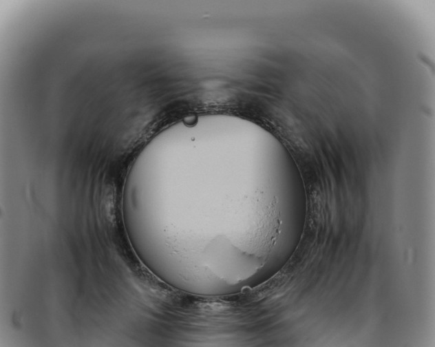 X0000096480698200801311556