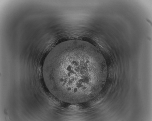 X0000096480699200801311556