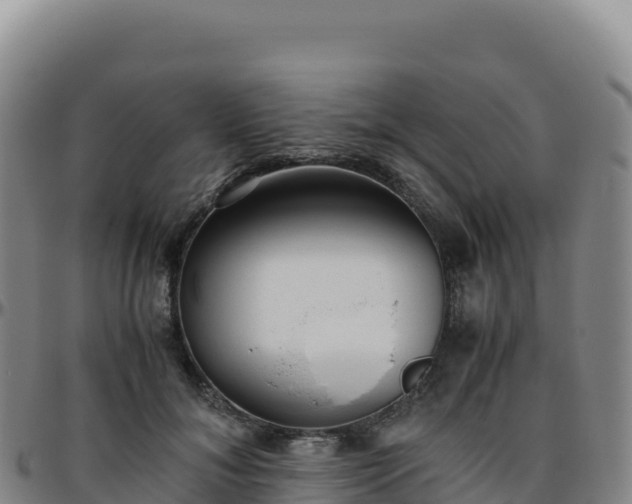 X0000096480700200801311556