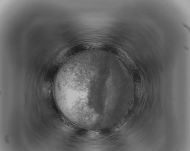 X0000096480701200801311556