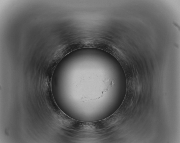 X0000096480702200801311556