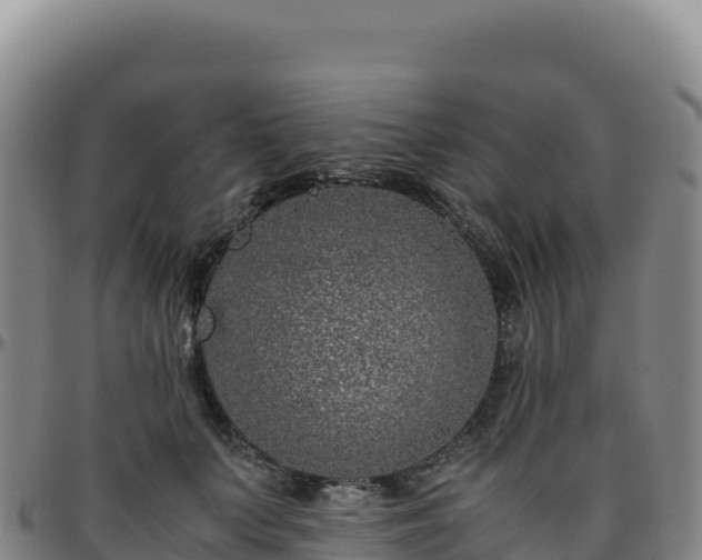 X0000096480703200801311556