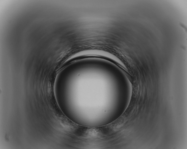 X0000096480704200801311556