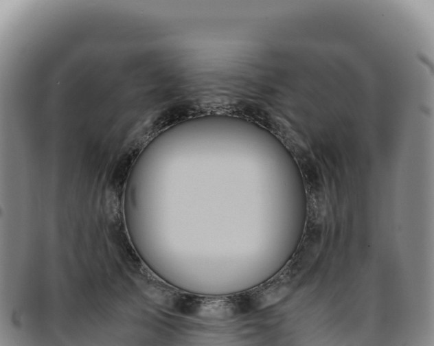 X0000096480705200801311556