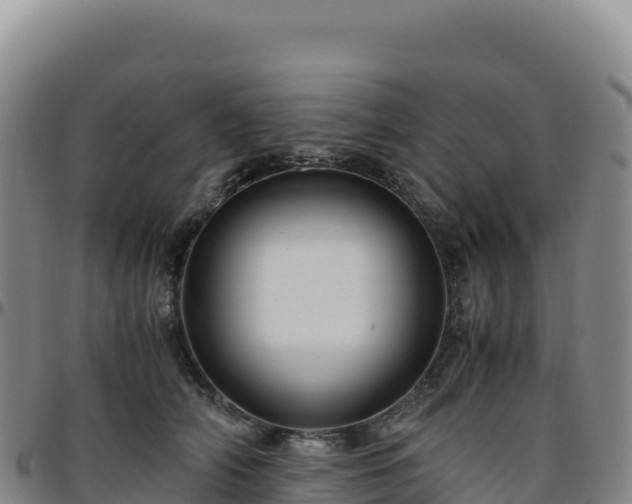 X0000096480706200801311556