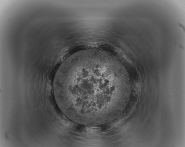 X0000096480707200801311556