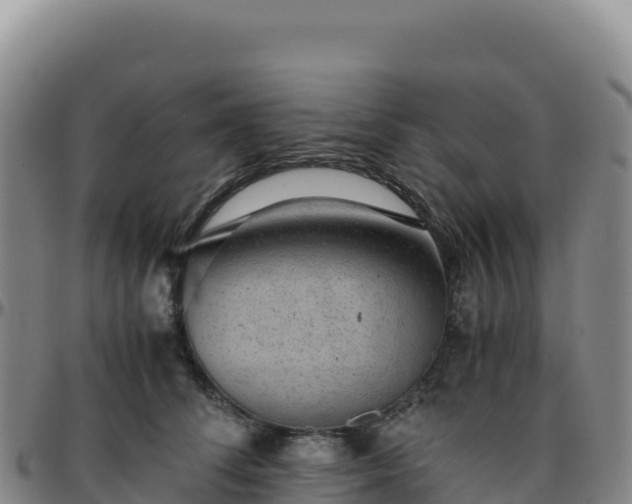 X0000096480708200801311556