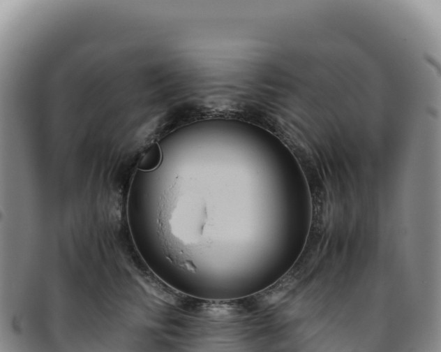 X0000096480710200801311556