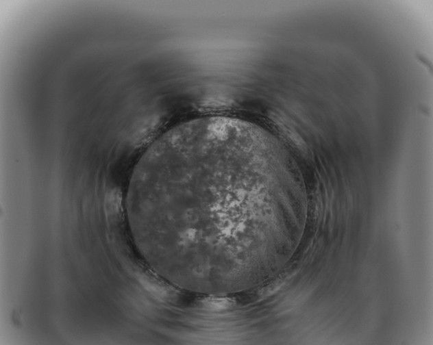 X0000096480711200801311556