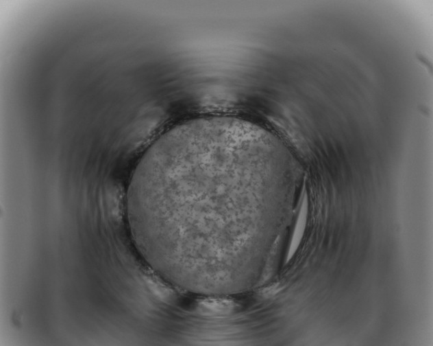 X0000096480712200801311556