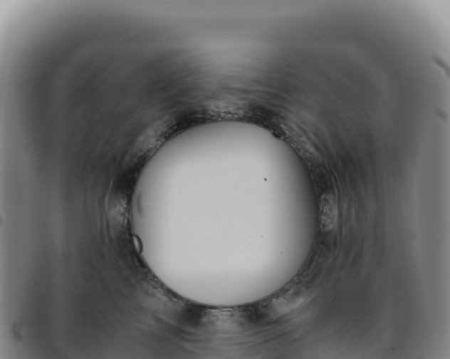 X0000096480713200801311556