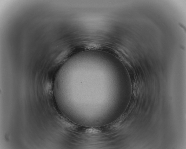 X0000096480714200801311556