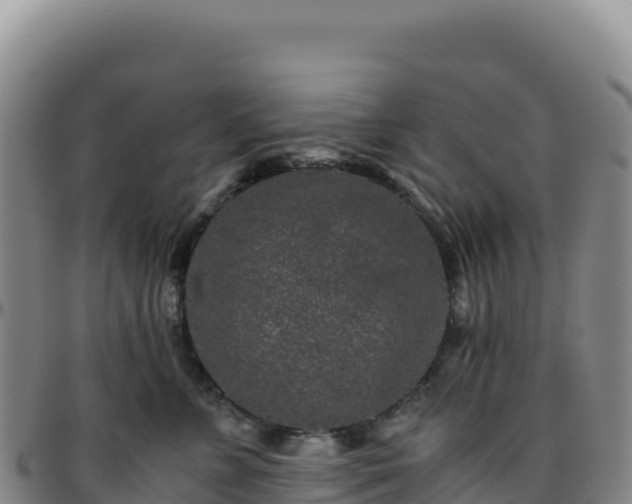 X0000096480715200801311556