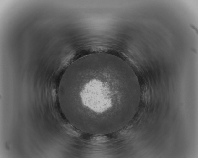 X0000096480716200801311556