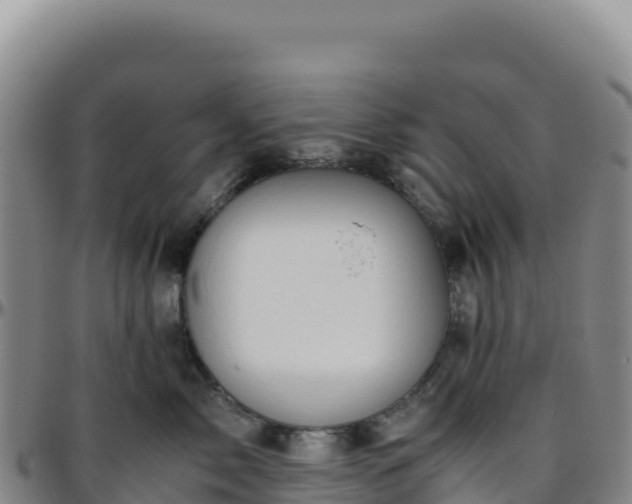 X0000096480717200801311556