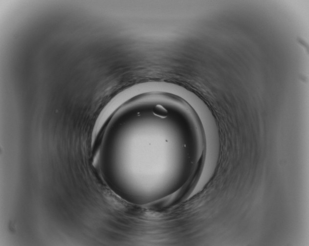 X0000096480720200801311556