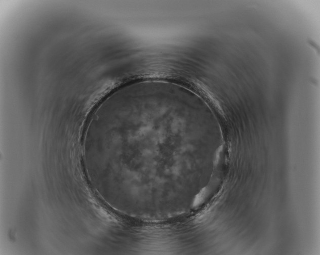 X0000096480721200801311555