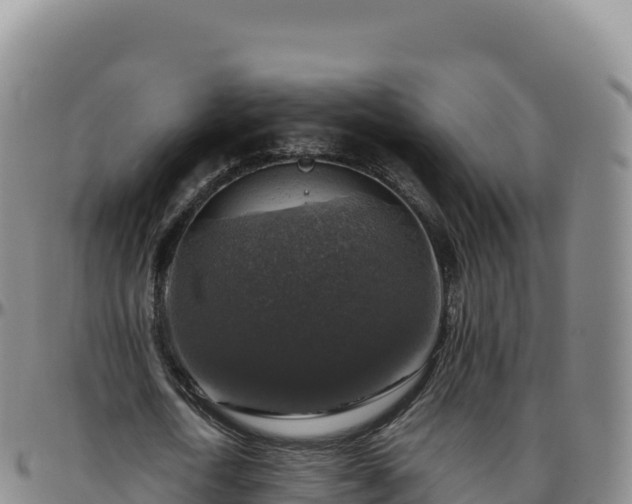 X0000096480722200801311555