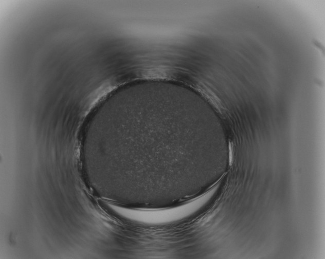 X0000096480723200801311555