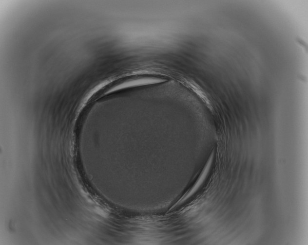 X0000096480724200801311555