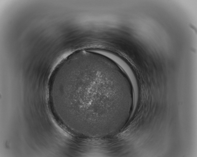 X0000096480726200801311555