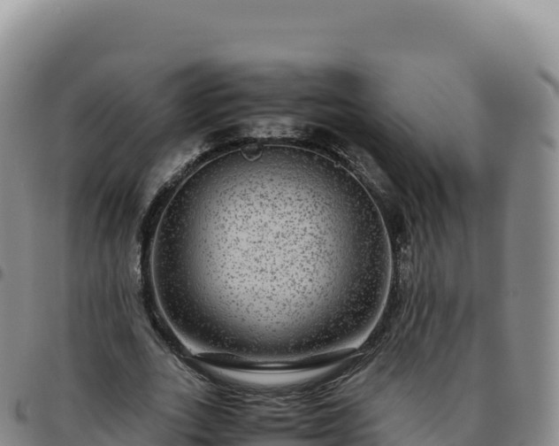 X0000096480727200801311555