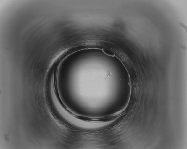 X0000096480728200801311555