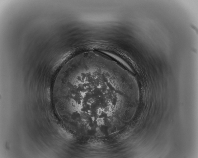 X0000096480729200801311555