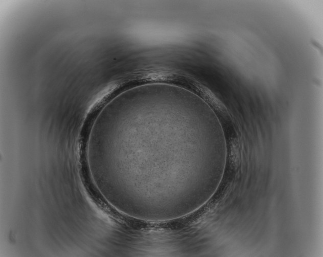 X0000096480730200801311555