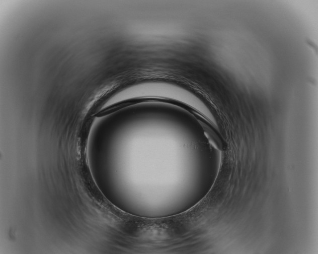 X0000096480731200801311555