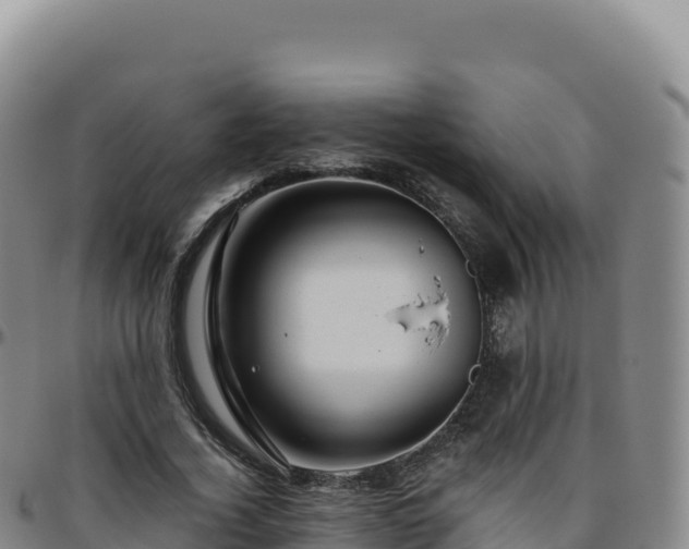 X0000096480732200801311555