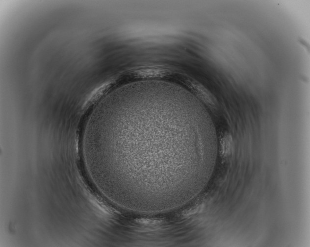 X0000096480733200801311555