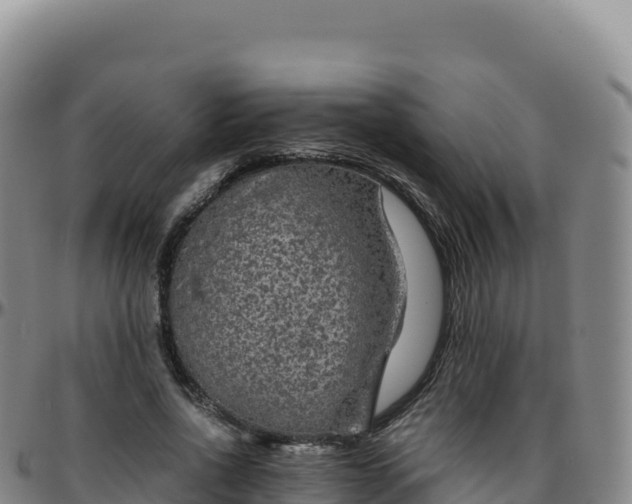 X0000096480734200801311555