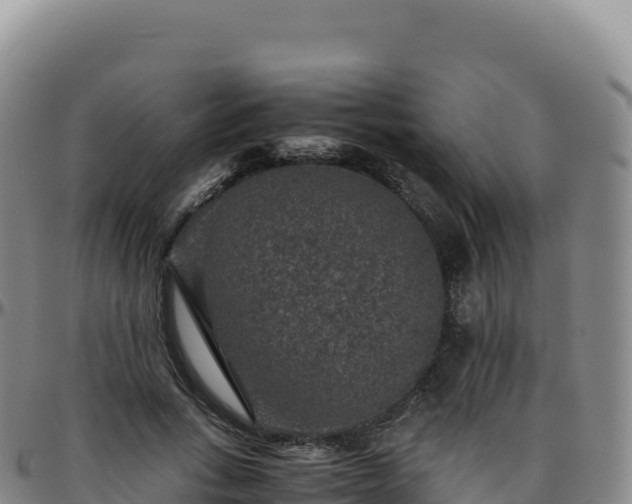 X0000096480735200801311556