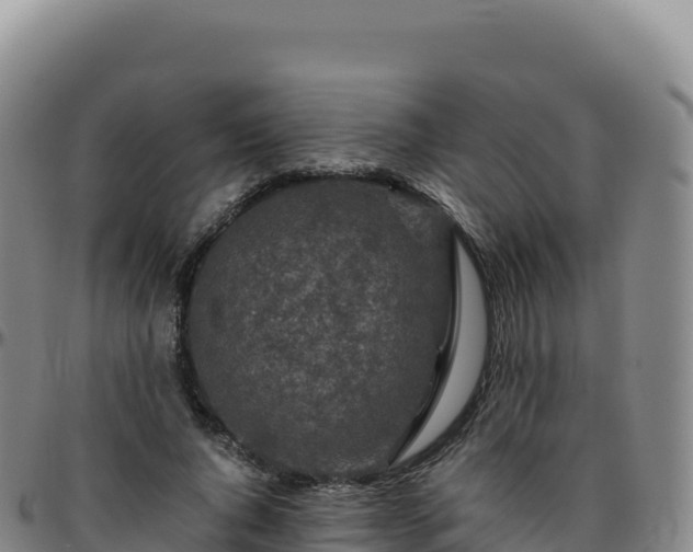 X0000096480736200801311556