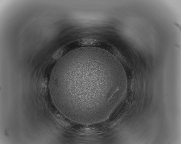 X0000096480737200801311556