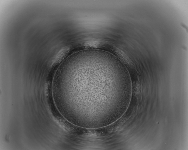 X0000096480738200801311556