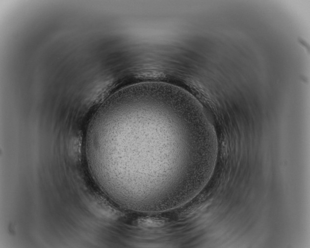 X0000096480739200801311556