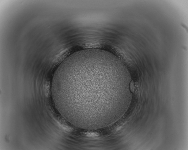 X0000096480741200801311556