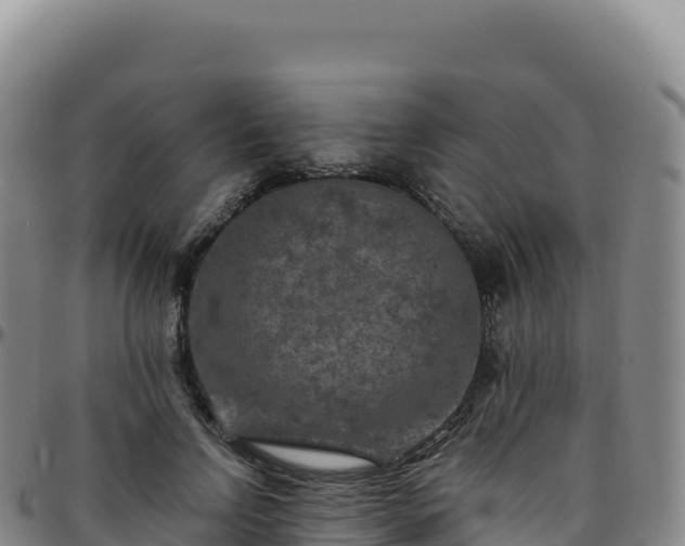 X0000096480742200801311556