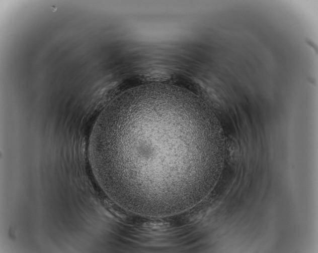 X0000096480745200801311556