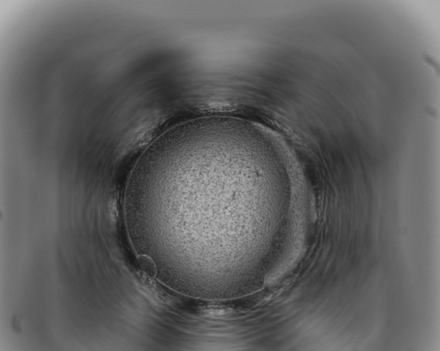 X0000096480746200801311556