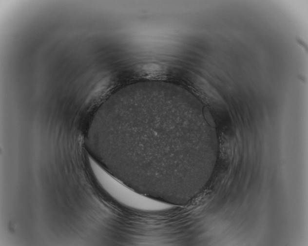 X0000096480748200801311556