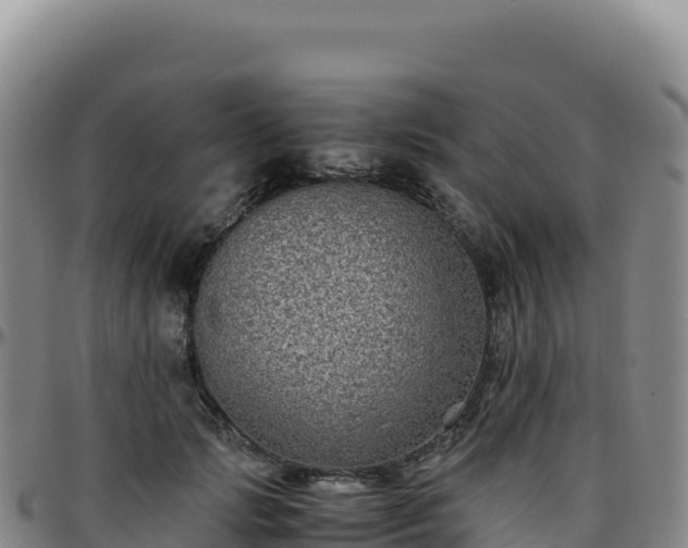 X0000096480749200801311556