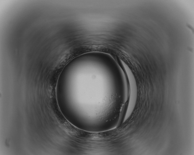 X0000096480750200801311556