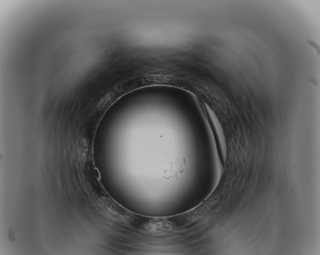 X0000096480752200801311556