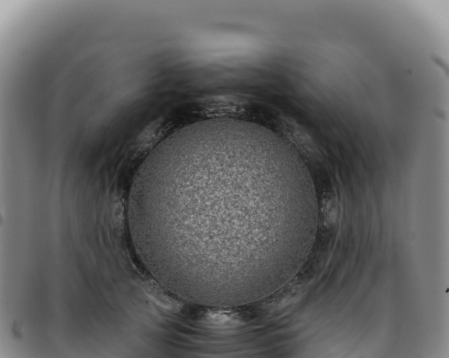 X0000096480753200801311556