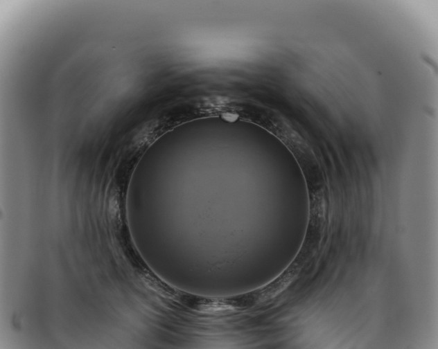 X0000096480754200801311556