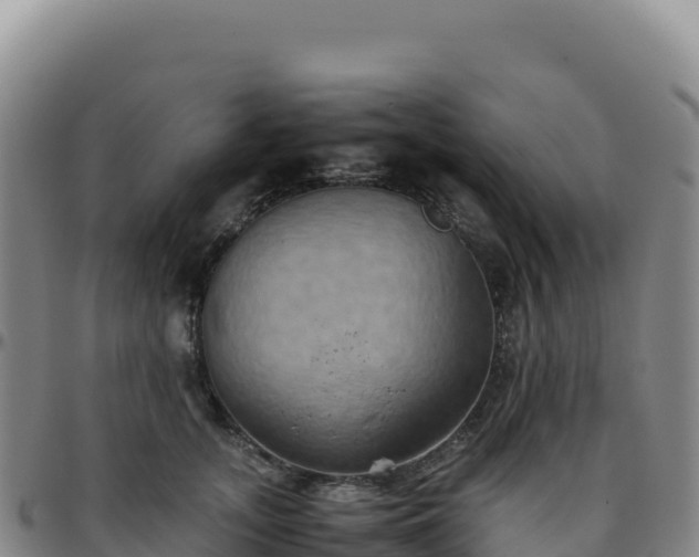 X0000096480755200801311556