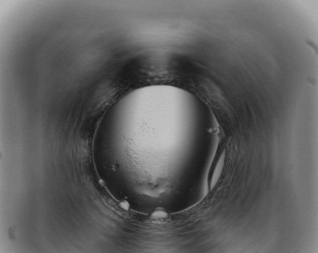 X0000096480756200801311556